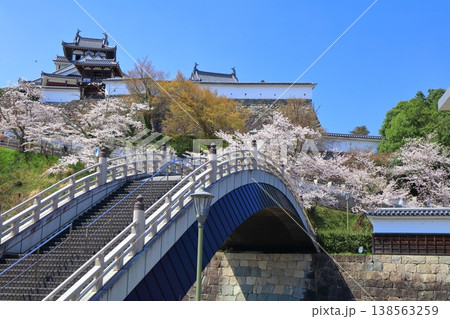 【京都府】桜が満開の福知山城と昇龍橋 【京都府】桜が満開の福知山城と昇龍橋 138563259