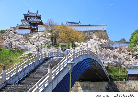 【京都府】桜が満開の福知山城と昇龍橋 138563260