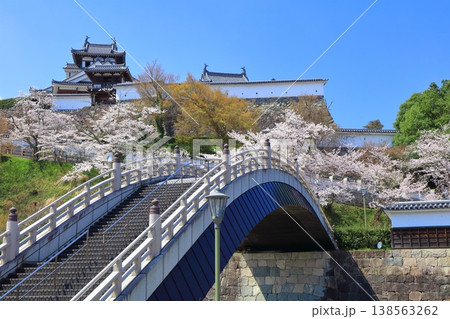 【京都府】桜が満開の福知山城と昇龍橋 138563262