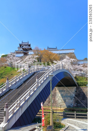 【京都府】桜が満開の福知山城と昇龍橋 【京都府】桜が満開の福知山城と昇龍橋 138563265