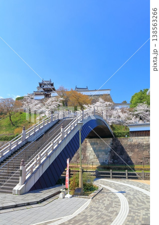 【京都府】桜が満開の福知山城と昇龍橋 138563266