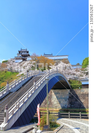 【京都府】桜が満開の福知山城と昇龍橋 【京都府】桜が満開の福知山城と昇龍橋 138563267