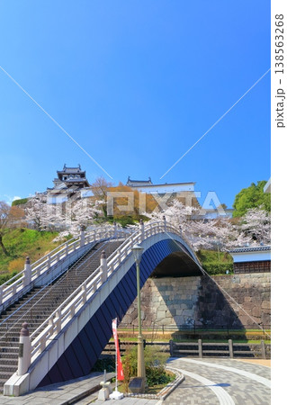 【京都府】桜が満開の福知山城と昇龍橋 【京都府】桜が満開の福知山城と昇龍橋 138563268