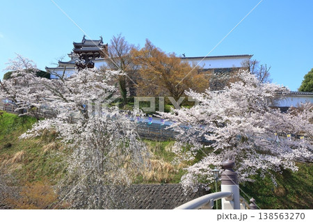 【京都府】桜が満開の福知山城 138563270