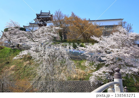 【京都府】桜が満開の福知山城 138563271