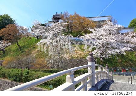【京都府】桜が満開の福知山城と昇龍橋 【京都府】桜が満開の福知山城と昇龍橋 138563274