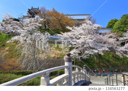 【京都府】桜が満開の福知山城と昇龍橋 138563277