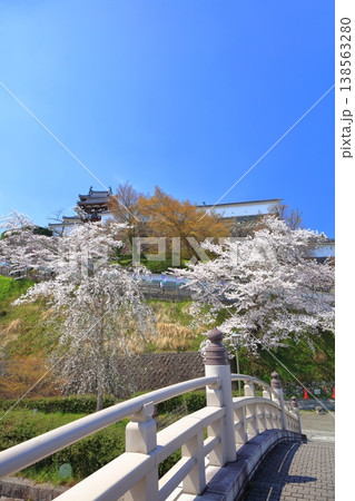 【京都府】桜が満開の福知山城と昇龍橋 138563280