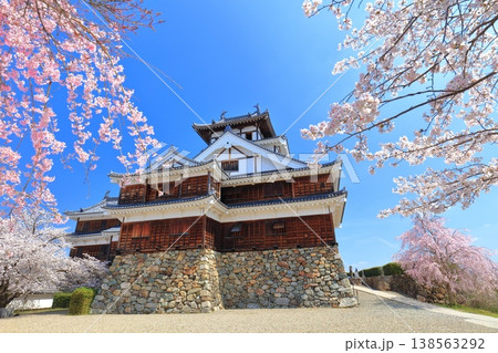 【京都府】桜が満開の福知山城 【京都府】桜が満開の福知山城 138563292