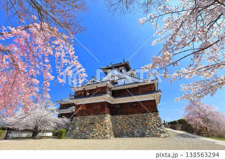 【京都府】桜が満開の福知山城 【京都府】桜が満開の福知山城 138563294