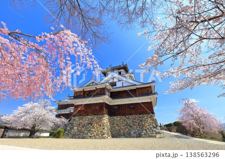 【京都府】桜が満開の福知山城 【京都府】桜が満開の福知山城 138563296