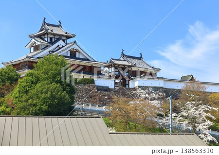 【京都府】桜が満開の福知山城 138563310