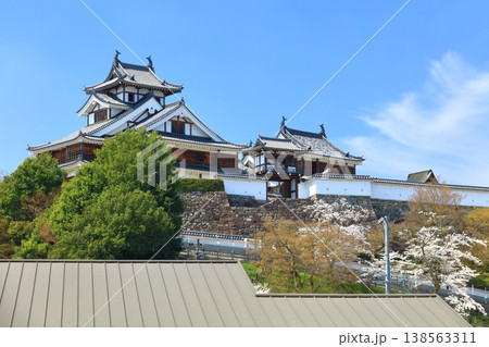 【京都府】桜が満開の福知山城 138563311