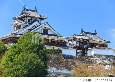 【京都府】桜が満開の福知山城 138563313