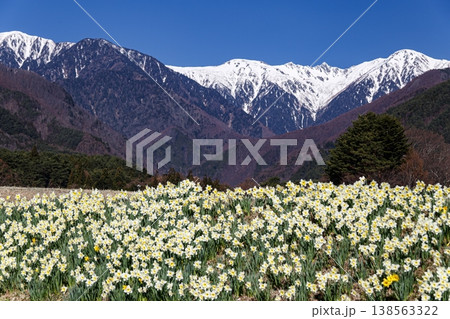 駒ヶ根の春 駒ヶ根の春 138563322