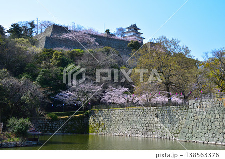 春　桜　丸亀城　 138563376