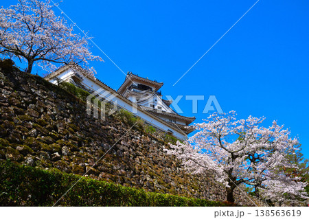 春 桜 高知城 春 桜 高知城 138563619