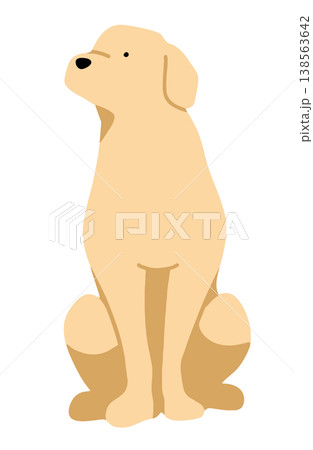 見上げるラブラドールレトリーバー　手書きイラスト 138563642