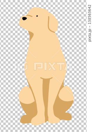 見上げるラブラドールレトリーバー　手書きイラスト 138563642