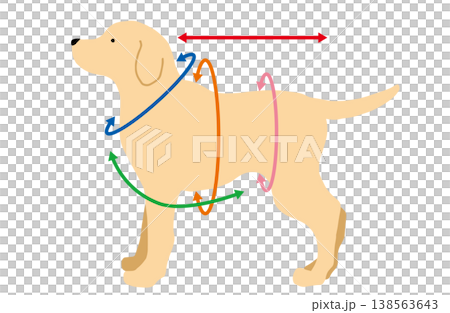 犬　サイズ　測り方　手書きイラスト 138563643