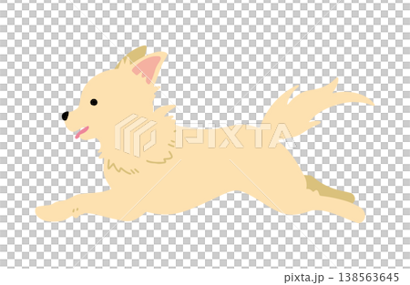 Running Chihuahua (hand-drawn illustration) 138563645
