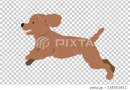 奔跑的玩具貴賓犬(手繪插圖) 奔跑的玩具貴賓犬(手繪插圖) 138563652
