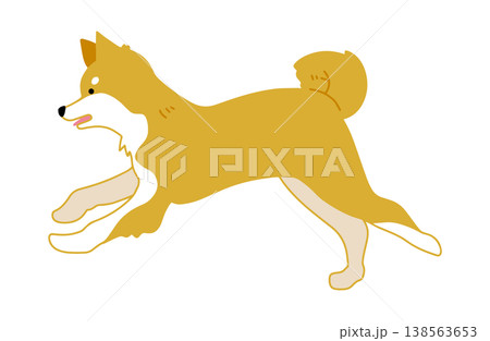 走る 柴犬 手書きイラスト 走る 柴犬 手書きイラスト 138563653