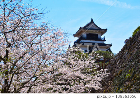 春 桜 高知城 春 桜 高知城 138563656