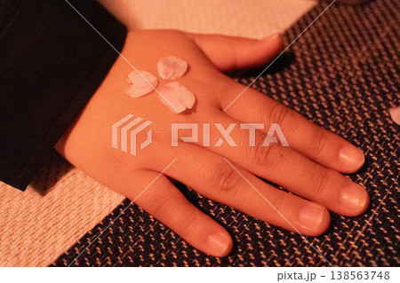 手の甲にそっと置かれた桜の花びら 春のやさしいイメージ 手の甲にそっと置かれた桜の花びら 春のやさしいイメージ 138563748
