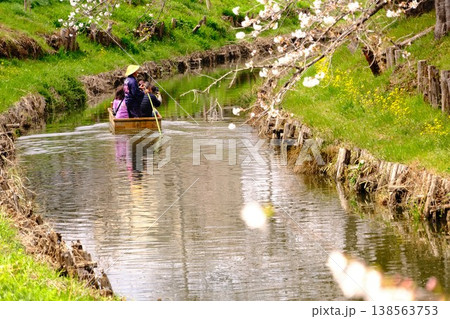 満開の桜並木をゆく舟下り:小江戸川越・新河岸川の春の風景 満開の桜並木をゆく舟下り:小江戸川越・新河岸川の春の風景 138563753