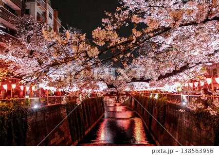 手前の桜が川を包み込む、目黒川の夜桜ライトアップ(東京) 手前の桜が川を包み込む、目黒川の夜桜ライトアップ(東京) 138563956