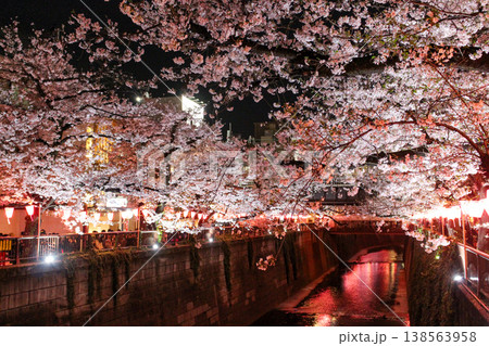 提灯が灯る中目黒・目黒川の夜桜と満開のソメイヨシノ(東京) 提灯が灯る中目黒・目黒川の夜桜と満開のソメイヨシノ(東京) 138563958