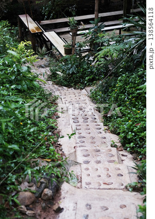 Stone carved path of stairway in tropical forest Stone carved path of stairway in tropical forest 138564118