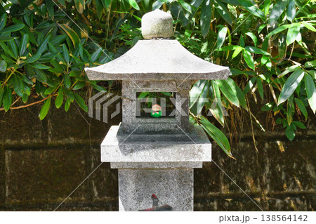 草津温泉 白根神社 (群馬県吾妻郡草津町) 草津温泉 白根神社 (群馬県吾妻郡草津町) 138564142