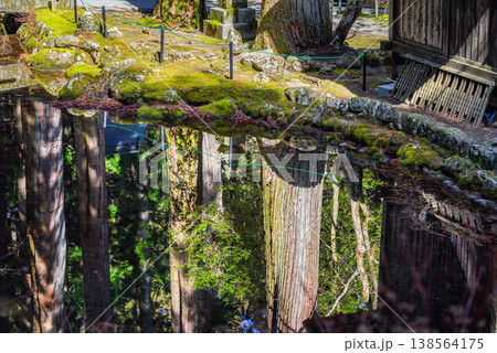 【光前寺】リフレクションの極み【境内の池】 138564175
