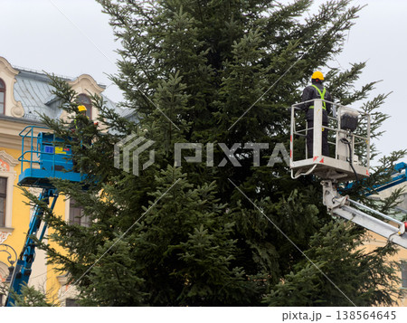 City workers on aerial platforms expertly decorate a towering public Christmas tree, installing vibrant string lights for festive holiday season celebrations City workers on aerial platforms expertly decorate a towering public Christmas tree, installing vibrant string lights for festive holiday season celebrations 138564645