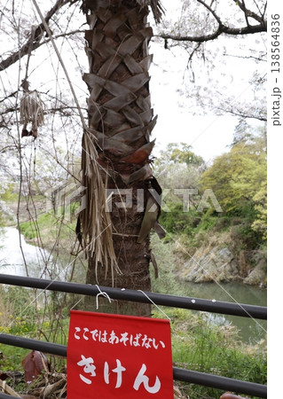 危険・ここであそばない警告看板・川沿いのフェンスと古い木 138564836