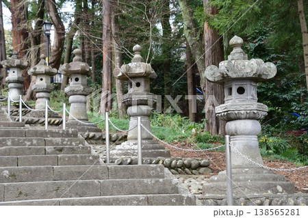 東照宮の石灯籠 東照宮の石灯籠 138565281