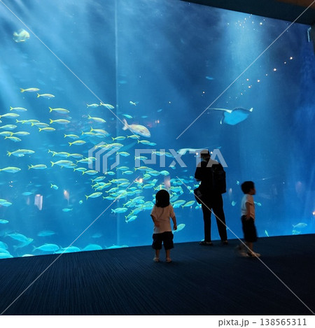 水族館で魚を眺める親子シルエット 水族館で魚を眺める親子シルエット 138565311