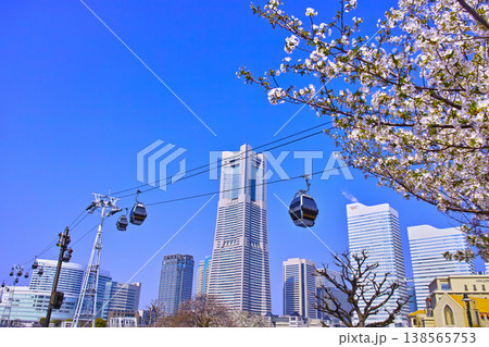 満開の桜咲く神奈川県横浜市、みなとみらい地区の満開の山桜とロープウェイのある風景 138565753