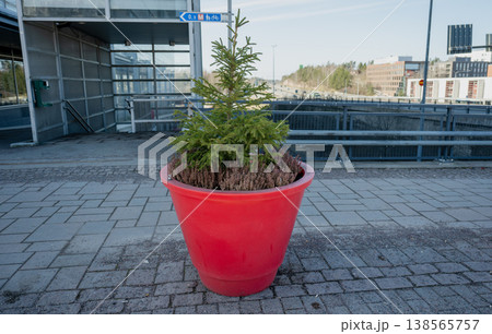 Large red flower pot with small evergreen tree in urban space modern city landscaping concept 138565757