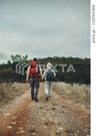 Couple back view, hiking and holding hands in nature with travel, mountain and backpacking in wilderness and explore outdoor. People on adventure, holiday date and environment with trekking path 138565960