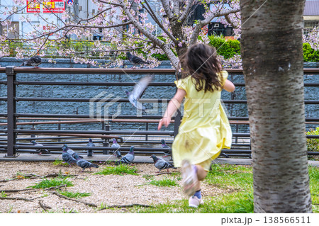 日本の東京都市景観 おしなり公園休憩所の脇に集まったハト。バッグの中に手…で集まったが、すぐに悲劇が 138566511