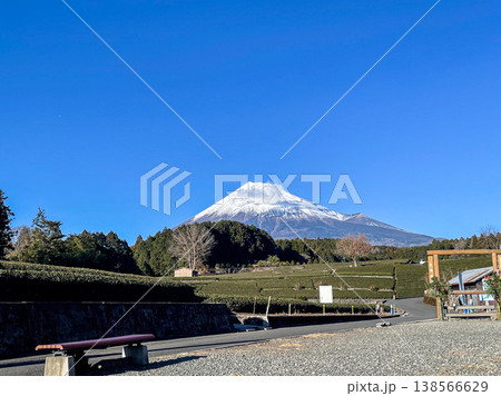 茶畑と雪化粧の富士山が広がる大淵笹場の風景（静岡県富士市） 138566629