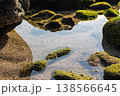 澄み切った潮溜まりと苔むした岩が美しい真鶴港の磯(神奈川県) 澄み切った潮溜まりと苔むした岩が美しい真鶴港の磯(神奈川県) 138566645