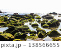 苔むした岩場と澄んだ水面が広がる真鶴岬の海岸(神奈川県) 苔むした岩場と澄んだ水面が広がる真鶴岬の海岸(神奈川県) 138566655
