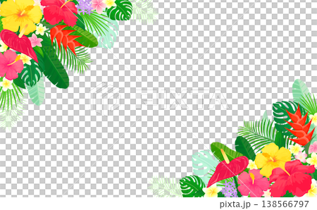 Translucent frame of tropical plants 1_horizontal Translucent frame of tropical plants 1_horizontal 138566797