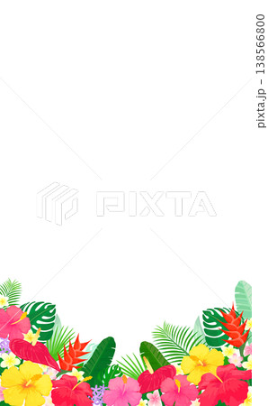 トロピカルな植物の透過フレーム2_縦 138566800