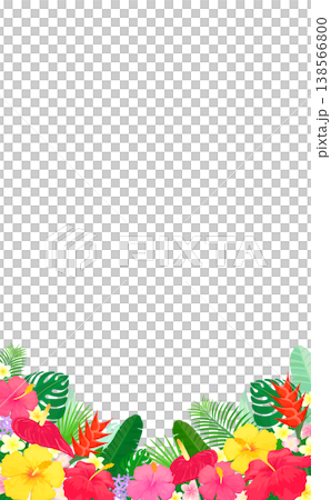 トロピカルな植物の透過フレーム2_縦 138566800