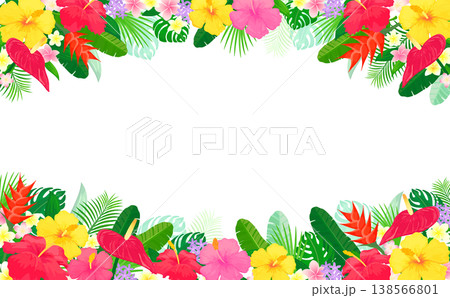 トロピカルな植物の透過フレーム3_横 138566801
